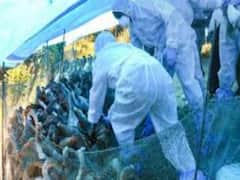 Seven to eight states affected by Bird Flu | ABP Special