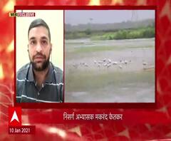 पक्ष्यांचं स्थलांतर, प्रजनन आणि मृत्यूनंतर काय? निसर्ग अभ्यासक मकरंद केतकर यांच्याशी संवाद!