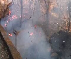 Bhandup Fire | भांडुप पंपिंग स्टेशनजवळ खारफुटीच्या झुडपांना आग, आग लागली की लावली गेली? 