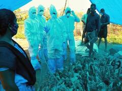 પાંચ રાજ્યોમાં બર્ડ ફ્લૂની દહેશત, કેરળ, રાજસ્થાનમાં H5N8ના આઠ દર્દી, જુઓ વીડિયો