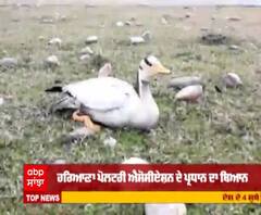Bird Flu ਕੀ ਹੰਦਾ,ਕਿਵੇਂ ਫੈਲਦਾ ਇਨਸਾਨਾਂ 'ਚ ?
