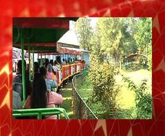 New Year Celebration 2021: Corona-র নয়া স্ট্রেনের জের, নিয়ন্ত্রিত উচ্ছাসের মধ্যেই 2021-কে স্বাগত জানালেন কলকাতাবাসী 