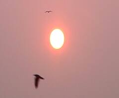 Happy New Year 2021 | स्वप्ननगरी मुंबईतील नववर्षाचा पहिला सूर्योदय