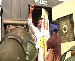 गोरेवाडा प्राणी उद्यानाला बाळासाहेबांचं नाव देण्यास विरोध, मुख्यमंत्र्यांच्या आगमनाआधी निदर्शनं