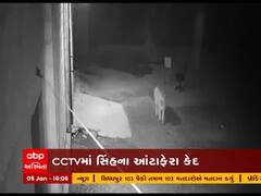 રાજકોટના ખારચિયા ગામમાં સિંહના આંટાફેરા, જુઓ CCTV