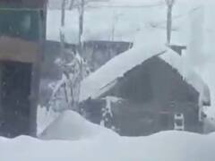 અસ્મિતા વિશેષઃ ચારેકોર બરફ 