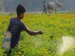 4 जनवरी को बात नहीं बनी तो आंदोलन तेज करेंगे किसान, मॉल-पेट्रोल पंप बंद करने की दी धमकी