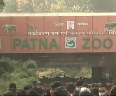 नए साल के मौके पर Patna का चिड़ियाघर घूमने पहुंचे लोग, सोशल डिस्टेंसिंग नदारद | Happy New Year