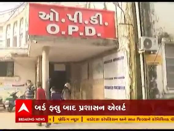 Bird flu: વડોદરાના સાવલીમાં બર્ડ ફ્લૂના કેસ નોંધાતા પ્રશાસન એલર્ટ