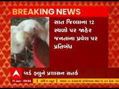 રાજ્યના વધુ એક જિલ્લામાં બર્ડ ફ્લૂનો પગપેસારો, જુઓ વીડિયો