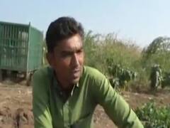 ગીર સોમનાથમાં આતંક મચાવનાર દીપડો પાંજરે પુરાયો, જુઓ વીડિયો