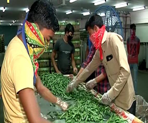 Rural News | गावागावातील बातम्यांचा वेगवान आढावा, तुमच्या गावात काय घडलं? माझं गाव माझा जिल्हा