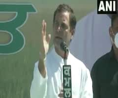 Maharashtra Congress | राहुल गांधी मायदेशी परतल्यानंतर महाराष्ट्र काँग्रेस प्रदेशाध्यक्षपदाचा निर्णय