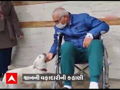 તુર્કીઃ શ્વાનની વફાદારીનો અનોખો કિસ્સો, માલિકને મળવા હોસ્પિટલની બહાર છ દિવસ કર્યા પસાર