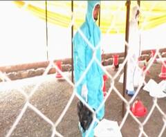 राज्यातील Bird Flu नुकसानग्रस्तांना भरपाई मिळणार; पशुसंवर्धन मंत्री सुनील केदार यांची माहिती