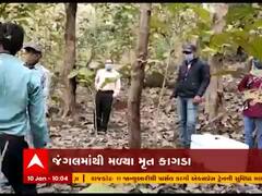 ડાંગના વઘઇમાં 10થી વધુ કાગડાના મોતથી પ્રશાસનમાં દોડધામ, જુઓ વીડિયો