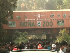 Crowd visit Patna Zoo on 1st day of New Year, social distancing neglected | Ground Report