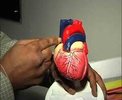 অ্যাপোলোয় বসানো হল সৌরভের আরও দু’টি স্টেন্ট, রাখা হয়েছে পর্যবেক্ষণে