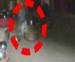 Leopard in Igatpuri | इगतपुरीमध्ये घरात बिबट्या अडकला, कुटुंबातील सर्व सदस्य सुखरूप