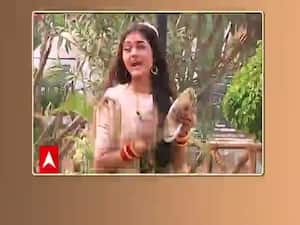 Glimpses of Molkki's family picnic | SBS  