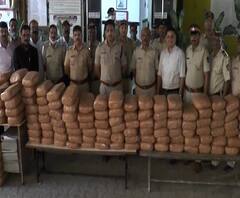 Marijuana Seized in Mumbai | चांदिवलीत 345 किलो गांजा जप्त, फरार आरोपीला अंधेरीतून अटक