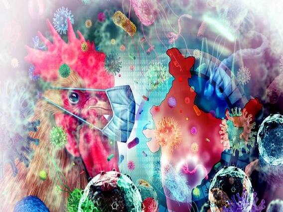 Bird Flu की चपेट में देश के कई राज्य, जानें क्या हैं लक्षण और कैसे करें बचाव?