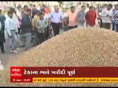 રાજ્યમાં ટેકાના ભાવે મગફળીની ખરીદીની પ્રક્રિયા થઇ પૂર્ણ, જુઓ વીડિયો 