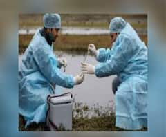 Protection for Bird Flu: চোখ রাঙাচ্ছে বার্ড ফ্লু, সংক্রমণ এড়াতে পাখিদের উপর কড়া পর্যবেক্ষণ Alipore Zoo কর্তৃপক্ষের 