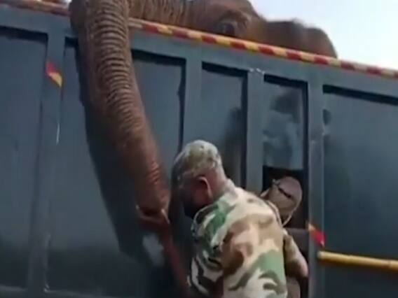 Tamil Nadu : बेजुबान जानवर पर इंसानी जुल्म की इंतेहा, जलता टायर हाथी पर फेंका