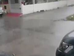 ગુજરાતના આ જિલ્લામાં પડ્યો કમોસમી વરસાદ, જુઓ વીડિયો