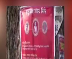 West Bengal Elections 2021: Amit Shah-র সভার আগে ঠাকুরনগর ঢাকল Mamata Banerjee-র পোস্টার, শুরু TMC-BJP তরজা