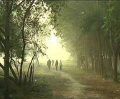 Weather Report: মধ্য মাঘে শীতের ব্যাটে বাঘের দাপট, দক্ষিণবঙ্গের ৪ জেলায় বৃষ্টির পূর্বাভাস