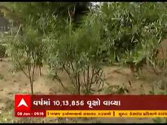 અમદાવાદમાં ગ્રીન સ્તરમાં થયો વધારો, જાણો ક્યા ઝોનમાં છે સૌથી વધુ વૃક્ષ?