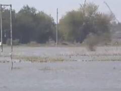 દ્વારકાના ગઢેચી ગામના ખેતરોમાં છ માસથી ચોમાસાના પાણી ભરાયા છે, જુઓ વીડિયો