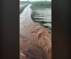 Nashik Konkan Rain | महाराष्ट्रात अवकाळी पावसाची हजेरी; पिकांवर रोगांचा प्रादुर्भाव, बळीराजा चिंतेत