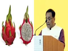 રૂપાણી સરકારે ડ્રેગન ફ્રૂટનું નામ બદલી કમલમ ફ્રૂટ કર્યું, જુઓ વીડિયો