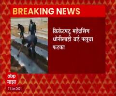 Bird Flu | क्रिकेटपटू महेंद्रसिंह धोनीला बर्ड फ्लूचा फटका 