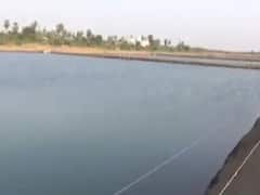 સુરતઃ ઓલપાડમાં ગેરકાયદેસર ધમધમતા ઝિંગા તળાવ દૂર કરવા કલેક્ટરનો આદેશ, જુઓ વીડિયો