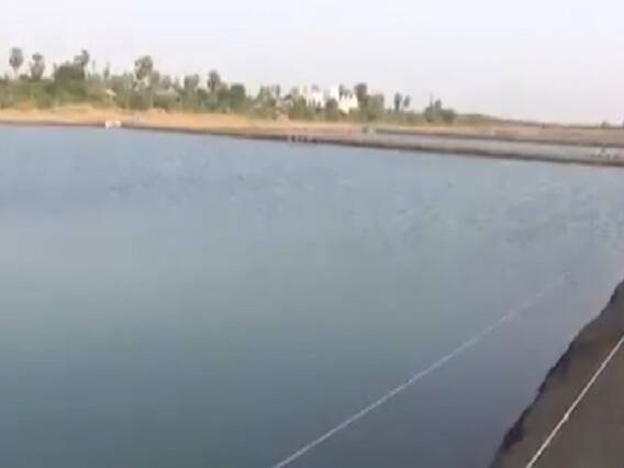 સુરતઃ ઓલપાડમાં ગેરકાયદેસર ધમધમતા ઝિંગા તળાવ દૂર કરવા કલેક્ટરનો આદેશ, જુઓ વીડિયો