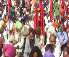 Farmer Protest : शेतकरी आंदोलनावर सुप्रीम कोर्टाकडून चिंता, आंदोलनाचा 41 वा दिवस, सोमवारी सुनावणी