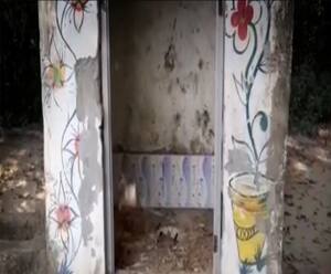 लोगों का विकास करना था...प्रधान ने अपना कर लिया ! | Gonda | ABP Ganga 