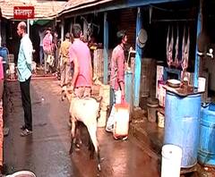 बर्ड फ्लूमुळे चिकनऐवजी मटणाला मागणी, वाढत्या मागणीमुळे मटणाचे दर 800च्या वर, मटणाच्या दराचा उच्चांक