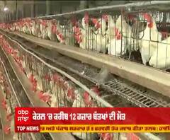ਜਾਣੋ ਕੀ ਹੈ ਭਾਰਤ 'ਚ Bird Flu ਦੀ ਸਥਿਤੀ ?