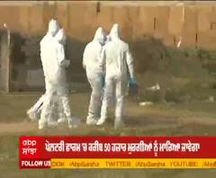 ਹਰਿਆਣਾ ਦੇ ਪੌਲਟਰੀ ਫਾਰਮ 'ਚ ਮੁਰਗੀਆਂ ਨੂੰ ਮਾਰਨ ਪਹੰਚੀ ਸਿਹਤ ਵਿਭਾਗ ਦੀ ਟੀਮ