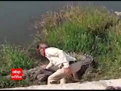 વડોદરાઃ તળાવ પાસે રહેલા મગરને નમન કરી તેના પર હાથ ફેરવવા લાગ્યો આ વ્યક્તિ અને...