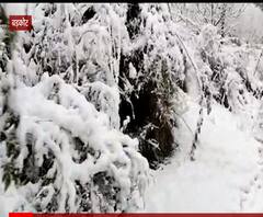 मौसम की करवट से बढ़ी ठंड, पहाड़ों में बर्फबारी, मैदानों में बारिश जारी | ABP Ganga 