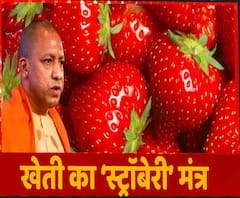 Strawberry की खेती ने खोले किसानों के लिए नए रास्ते | CM Yogi Adityanath 