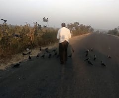 Special Report | कावळयांची भूक भागवणारे रहिमभाई... 15 वर्षांपासून कावळ्यांशी निखळ मैत्री