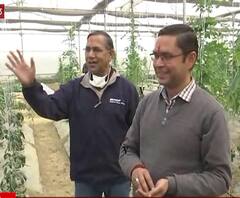 लाखों की नौकरी छोड़ खेती करने लगे चाचा-भतीजा, अब कर रहे खूब कमाई | Satte Pe Satta 