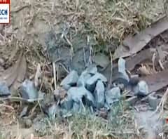 West Bengal Elections 2021: সবংয়ে বিজেপির কর্মী সম্মেলনের আগে 'বোমাবাজি', কাঠগড়ায় তৃণমূল 